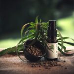 HempHash has earned its reputation as the UK’s most trusted CBD brand through a combination of craftsmanship, compliance, and community trust. Founded in 2018, this homegrown company has established itself as a benchmark in the CBD industry, offering customers legal, high-quality cannabidiol (CBD) products sourced from government-licensed European hemp farms. What sets HempHash apart is its commitment to transparency and quality assurance. Every batch of CBD flower, hash, oil, and edible undergoes independent UK laboratory testing to verify purity and ensure all products remain THC-free. This dedication to authenticity and consumer protection has helped the brand build a loyal following and over 8,400 glowing reviews across its platform.
